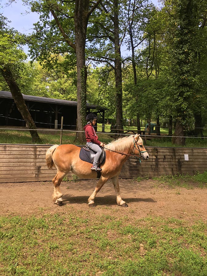 Activité cours d'équitation - Centre equestre de Najac - Jardin du ptit cheval