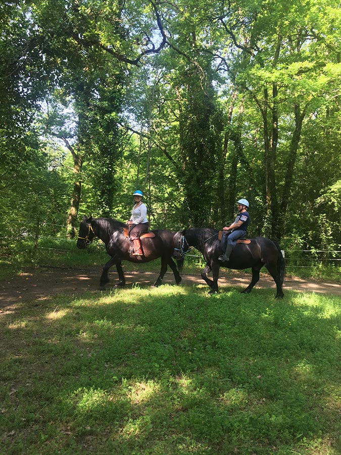 Activité cours d'équitation au centre equestre de Najac - Jardin du ptit cheval - Aveyron