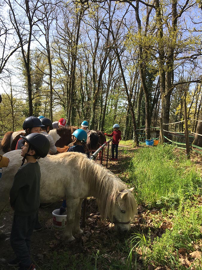 Les enfants soignent leurs montures - Centre equestre de Najac - Jardin du ptit cheval