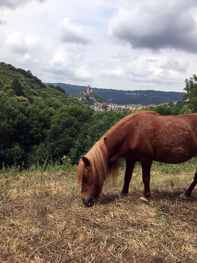 Noisette et le village de Najac - Centre equestre de Najac - Jardin du ptit cheval - Aveyron