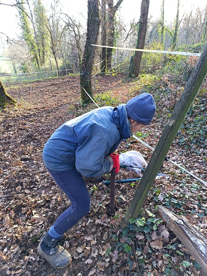 Entretien de clôture