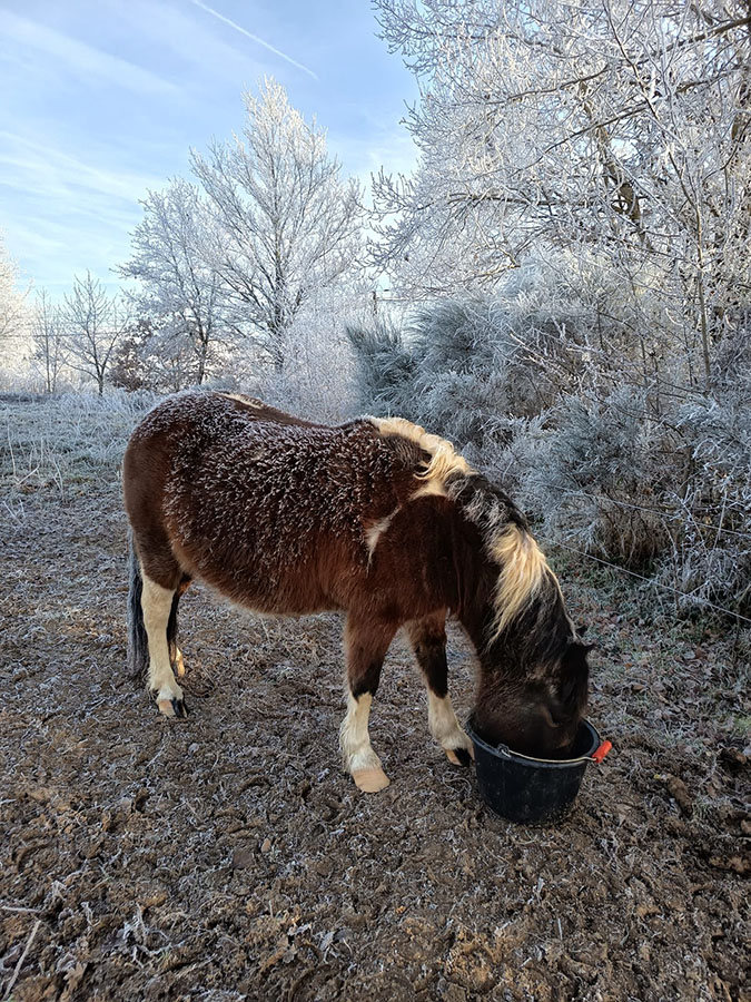Etna-Centre équestre de Najac