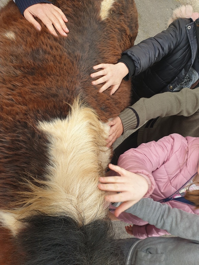 Médiation équine à l'école de Najac