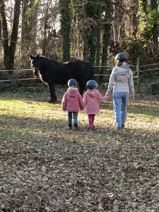 Médiation parent enfant-Obéline Mortier-Najac