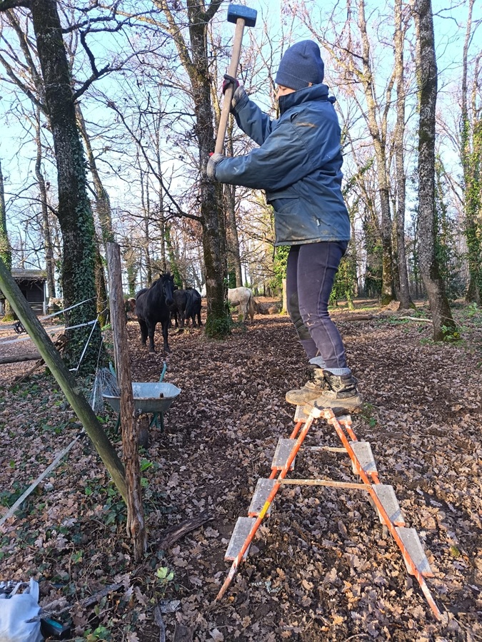 Obéline entretient les clôtures-Centre équestre de Najac