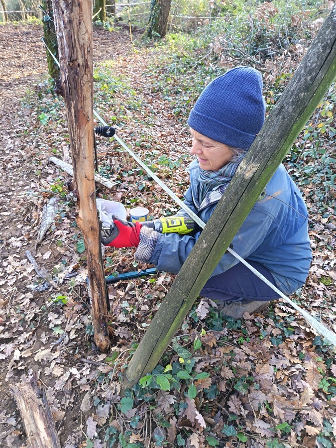 Obéline entretient les clôtures